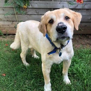 Meet your Posher, Jared